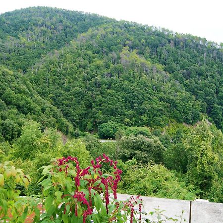 Chez Il Pino Apartment Вернаца Екстериор снимка
