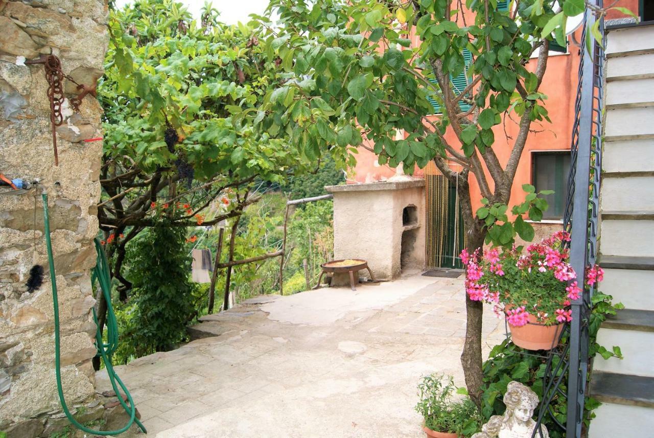 Chez Il Pino Apartment Вернаца Екстериор снимка